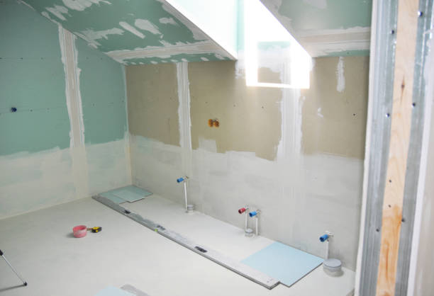 Best Black Mold Removal  in Belle Mead, NJ
